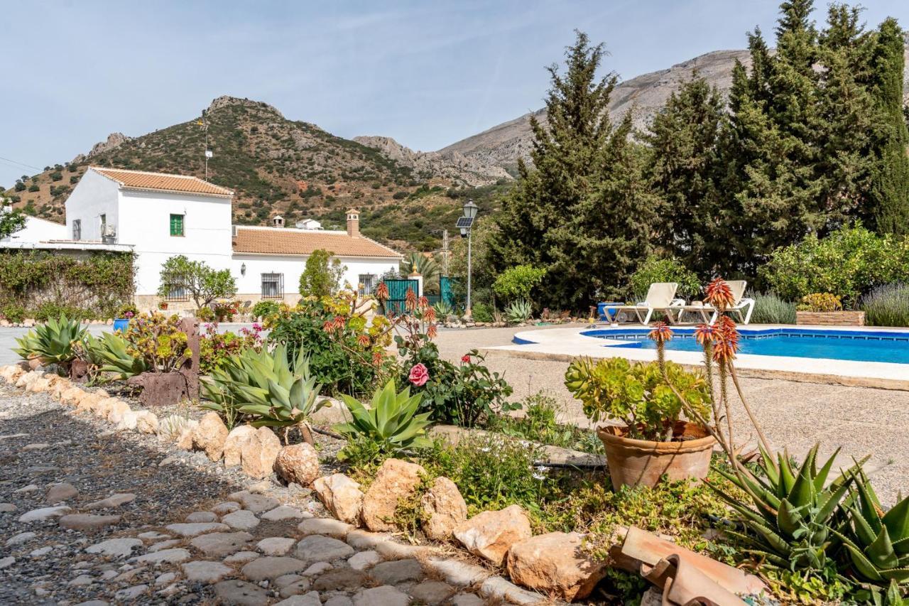 Alojamiento Rural El Viso 埃尔乔罗 外观 照片
